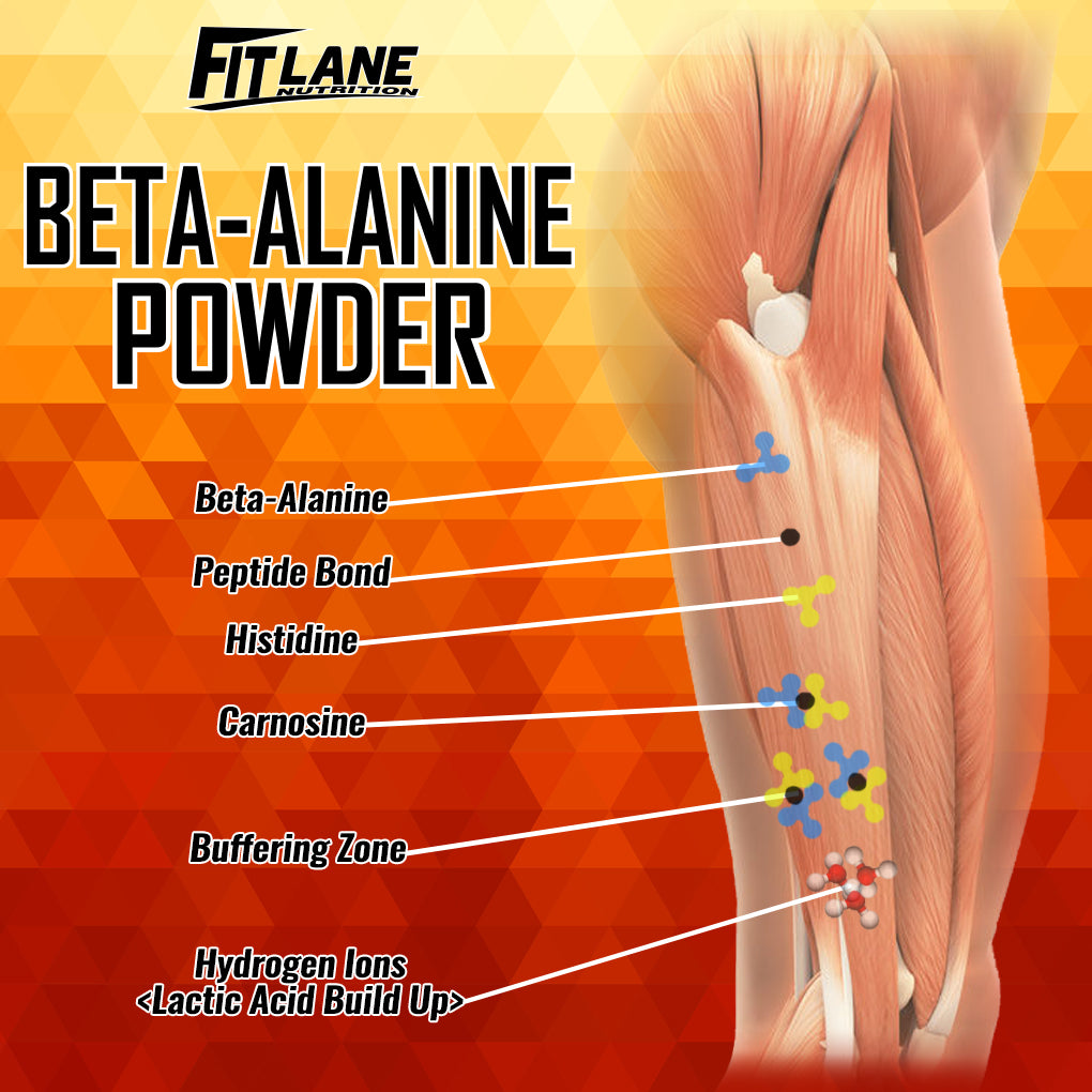 Beta Alanine 1000 Grams