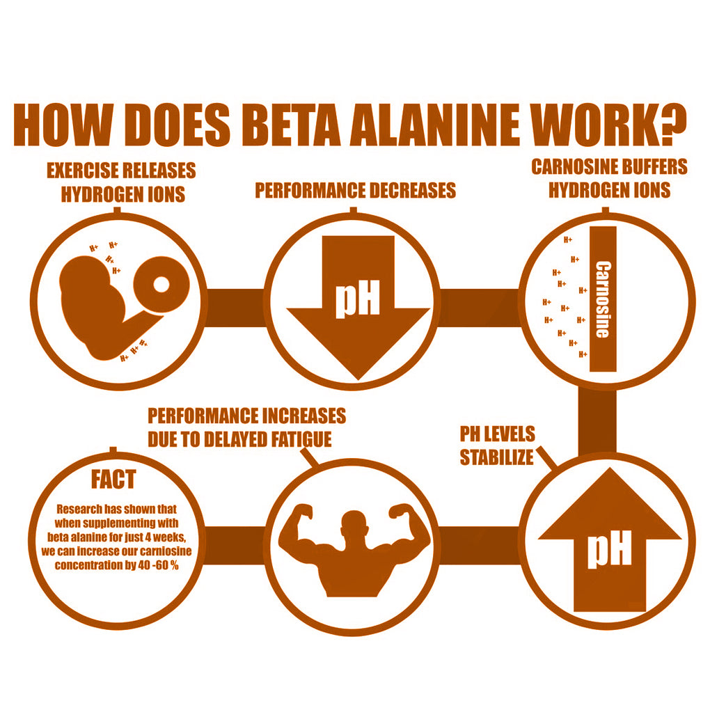 Beta Alanine 1000 Grams